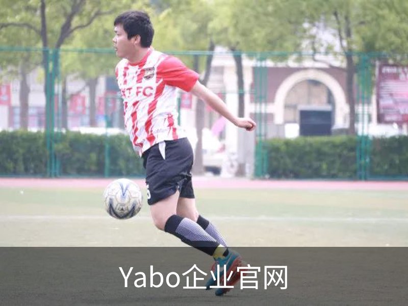 针织牛仔布厂家